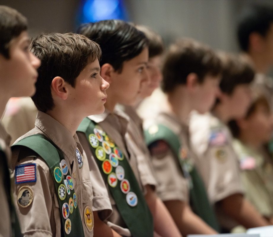 Featured image for “Scouts”