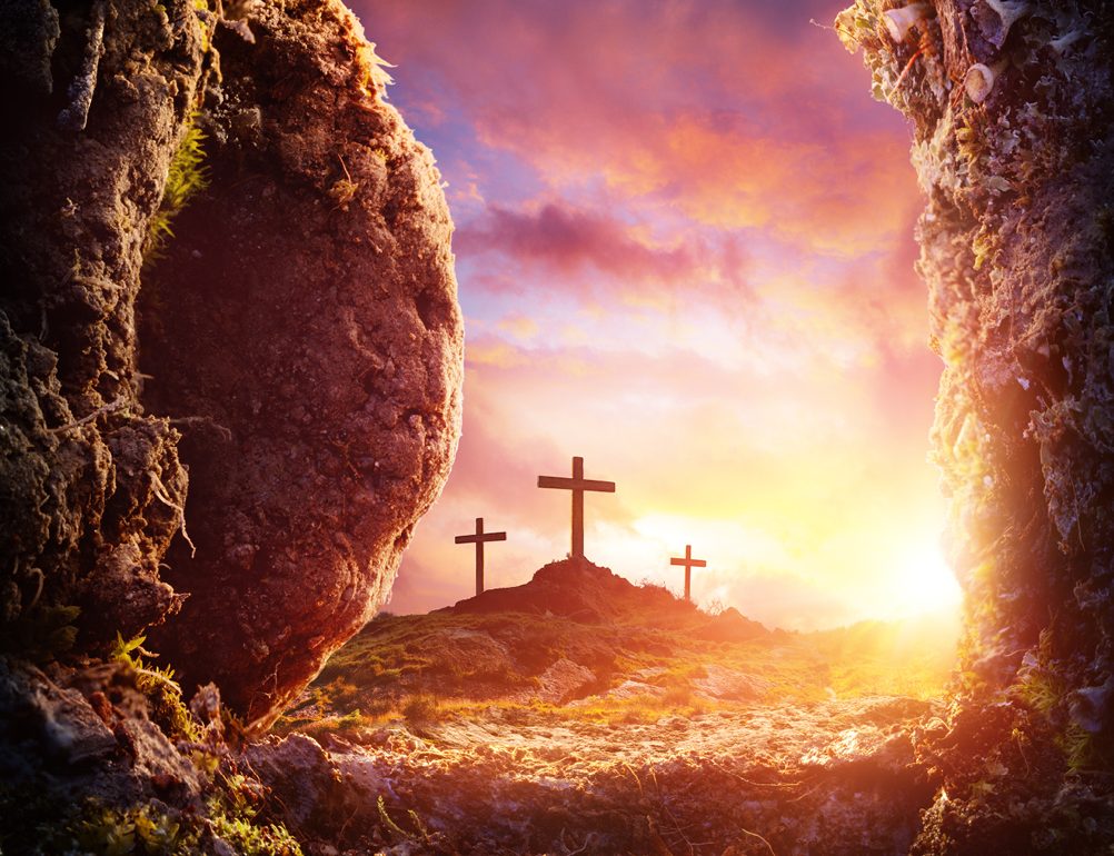 Featured image for “Easter Giving Tree Cards”