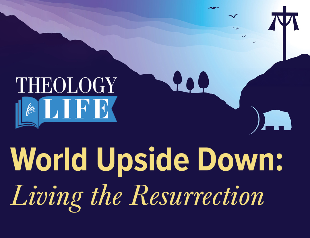 Featured image for “Theology for Life”