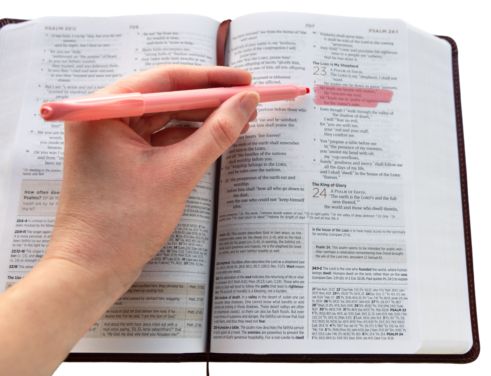 Featured image for “Bible Presentation”