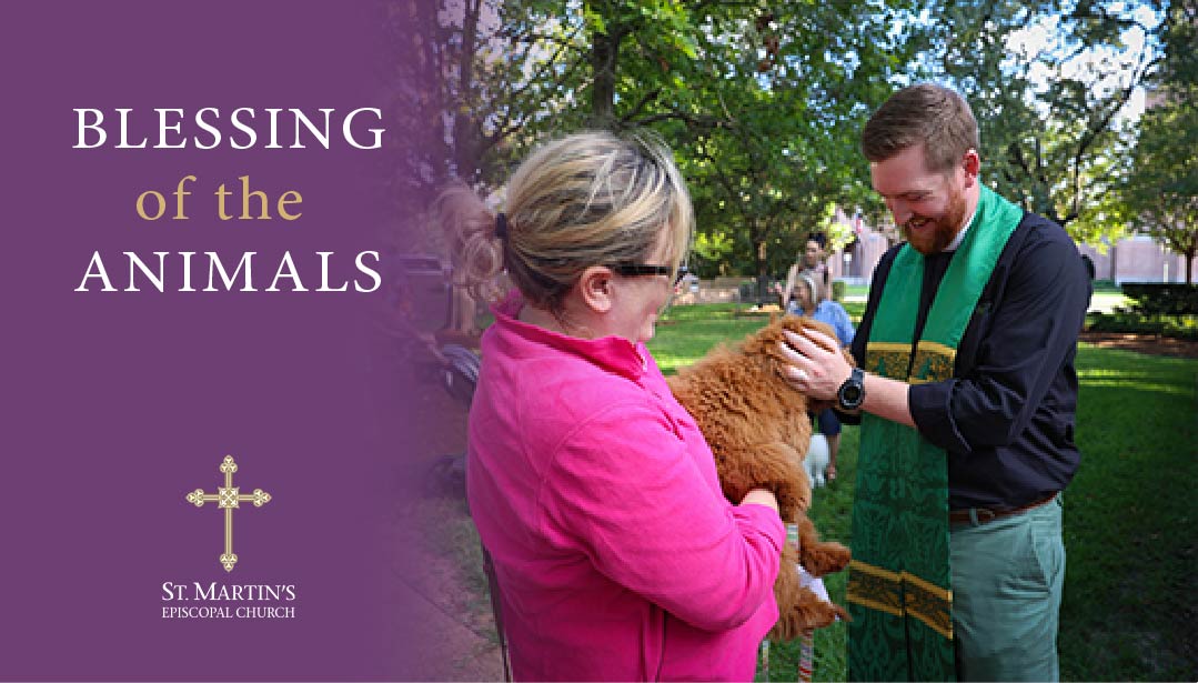 blessing of the animals