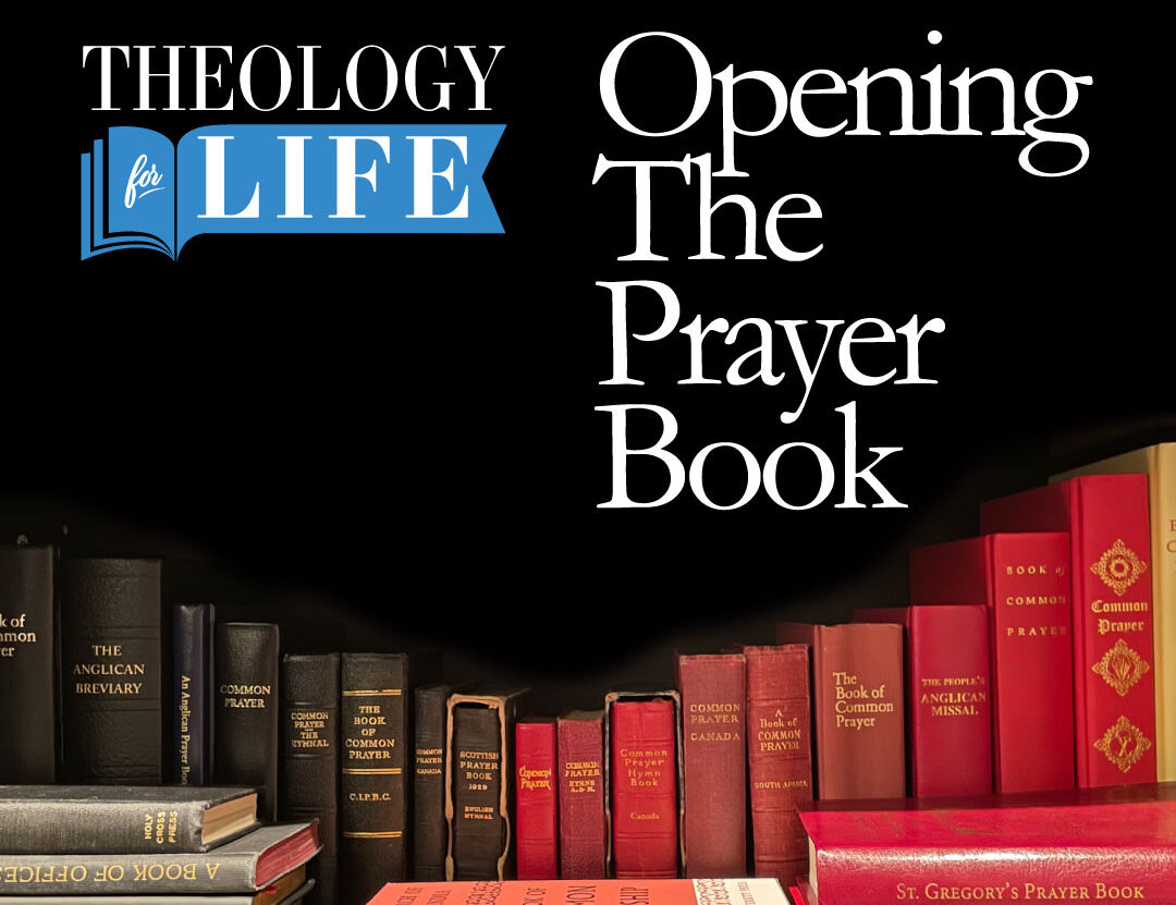 Featured image for “Theology for Life”